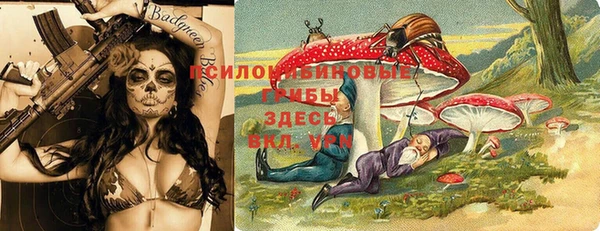 сатива Кулебаки