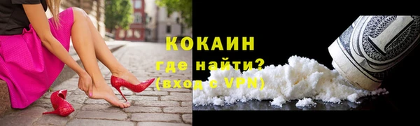сатива Кулебаки