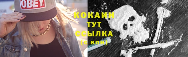 стаф Лагань