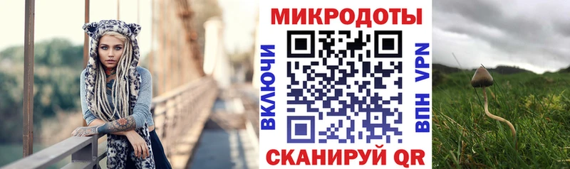 блэк спрут как зайти  Малгобек  Галлюциногенные грибы Cubensis  магазин продажи  